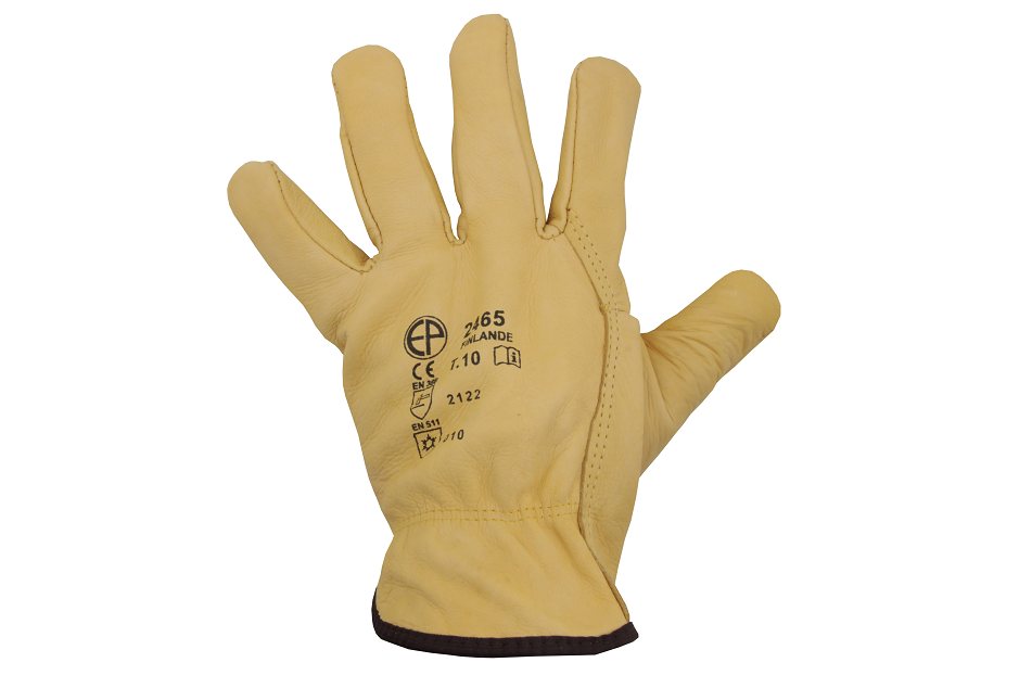 Nahast talvekindad Eurotechnique 2465 - Pilt 3