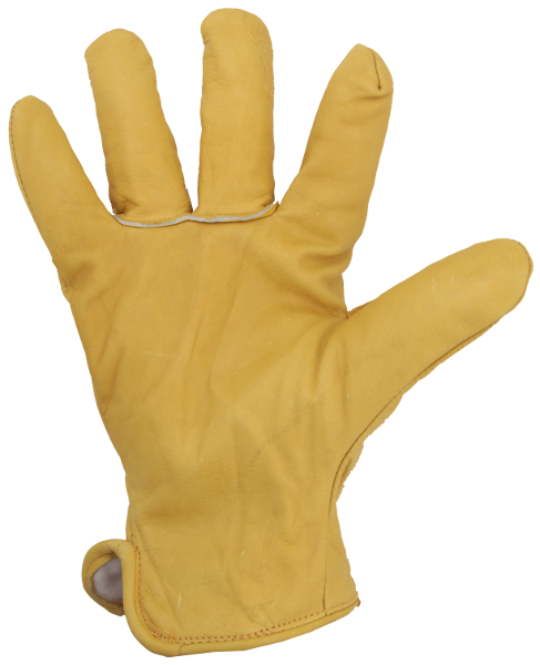 Nahast talvekindad Eurotechnique 2480 Alaska - Pilt 2